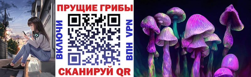 kraken ONION  Ленинск  Галлюциногенные грибы Psilocybine cubensis 